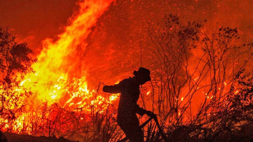 Soldiers sent to fight forest fires in the North