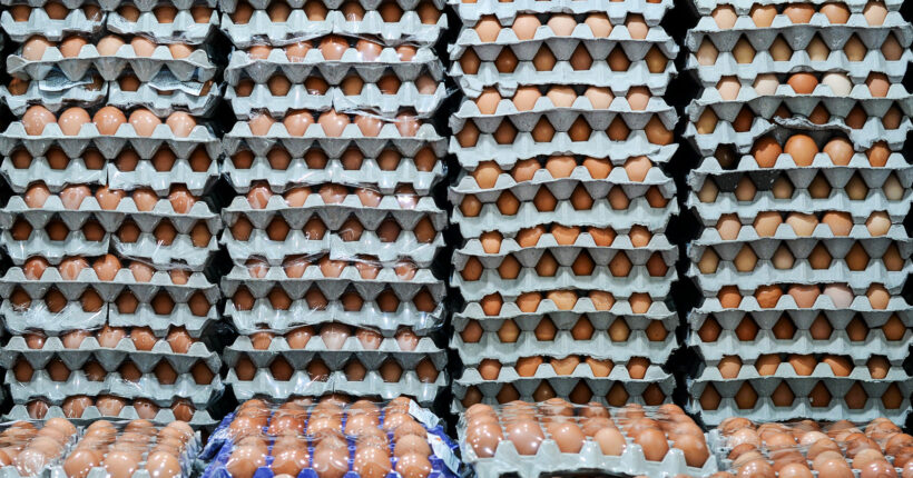 Thailand’s chicken egg exports banned for 7 days