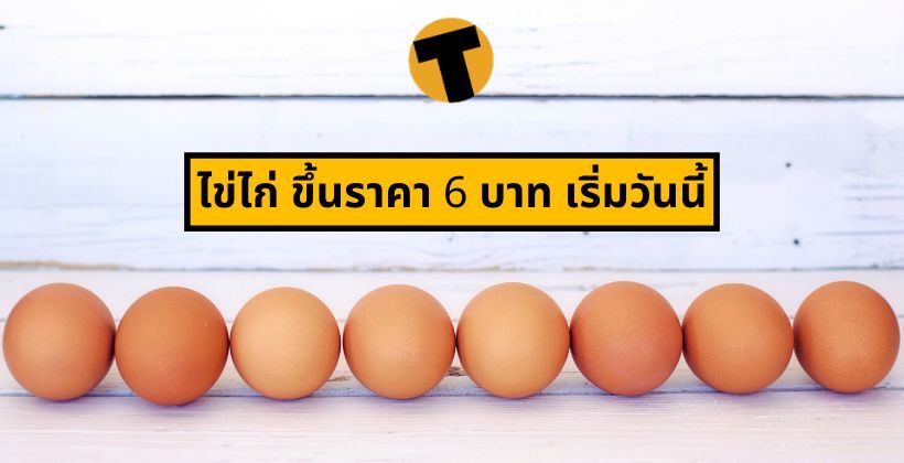 โปรดอย่ากักตุน ! ไข่ไก่ แผงละ 30 ฟอง ขึ้นราคา 6 บาท เริ่มวันนี้ | The Thaiger