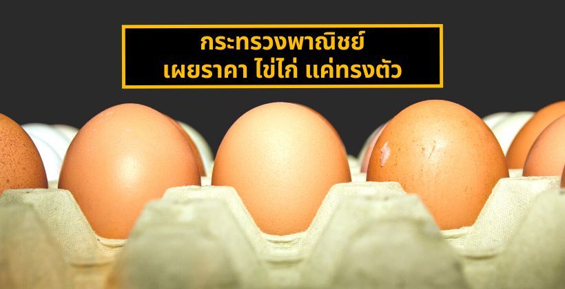 แนใจเหรอ ? กระทรวงพาณิชย์ เผยราคา ไข่ไก่ แค่ทรงตัว | The Thaiger