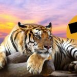 The Thaiger, punching on in tough times | Thaiger