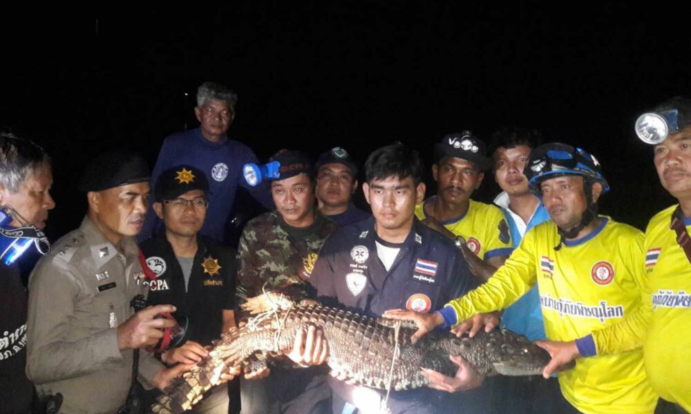 Thailand News Today – March 6, 2020 | The Thaiger