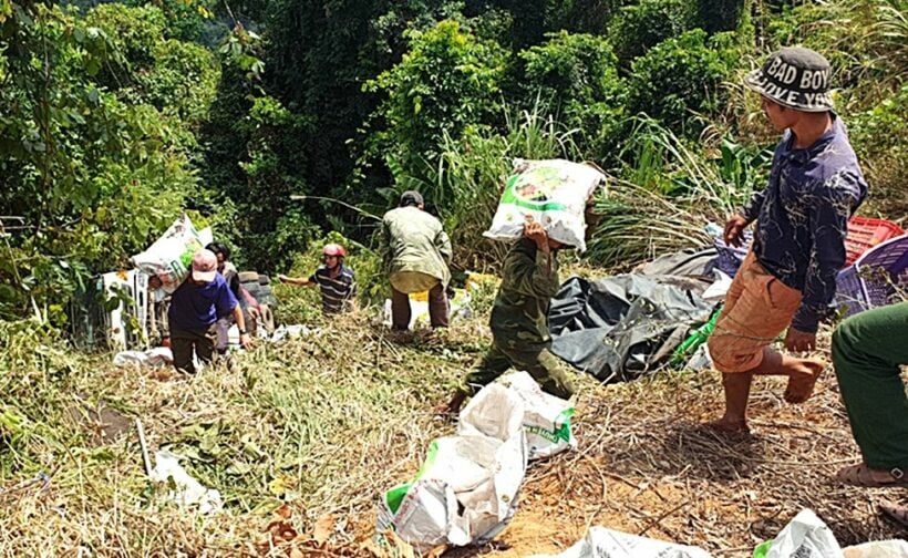 Lâm Đồng: Ô tô tải chở phân bón lao xuống vực sâu | News by Thaiger