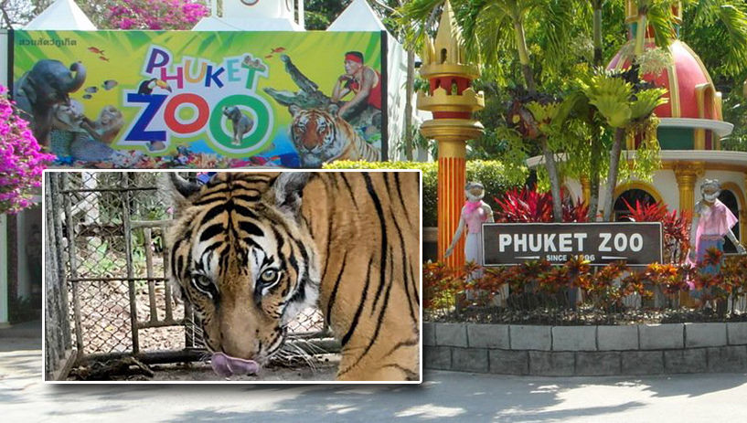 Four arrested for shooting videos at Phuket Zoo and soliciting donations