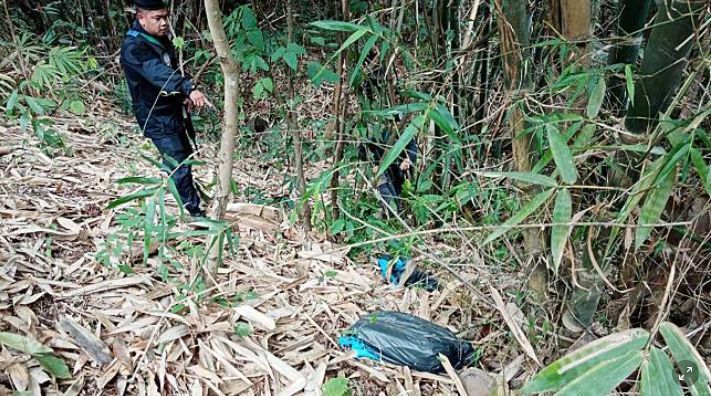 300,000 methamphetamine pills found in Chiang Rai after smugglers flee