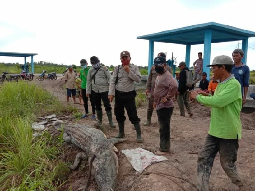 Crocodile attacks and kills 55 year old fisherman in Indonesia