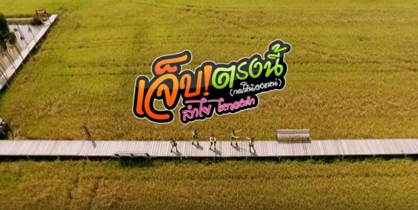 ประจักษ์ชัย พร้อมแก้ไข MV เพลงลำไย ไหทองคำ หลังชาวเน็ตติงเนื้อหากระทบอาชีพนวดแผนไทย | The Thaiger