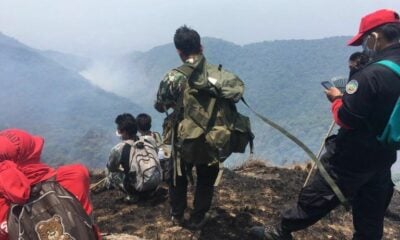 Chiang Mai hiking spots go up in flames | The Thaiger
