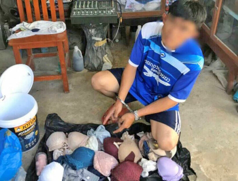 Knicker-sniffing panty thief arrested in Chiang Mai - VIDEO | News by Thaiger