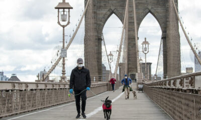 With more than 20,000 deaths, US surpasses Italy’s total of deceased coronavirus patients | The Thaiger