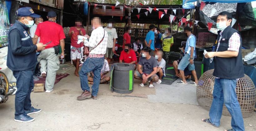 เย้ยโควิด ! ตร.ปทุมธานี รวบกลุ่มมั่วสุม สนามไก่ชน 19 รายท้าทายกฏหมาย | The Thaiger