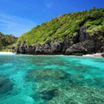 Thailand&#8217;s wildlife is thriving in shutdown, but maybe not for long | Thaiger