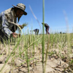 Thailand&#8217;s reservoirs and dams reaching critically low levels | Thaiger