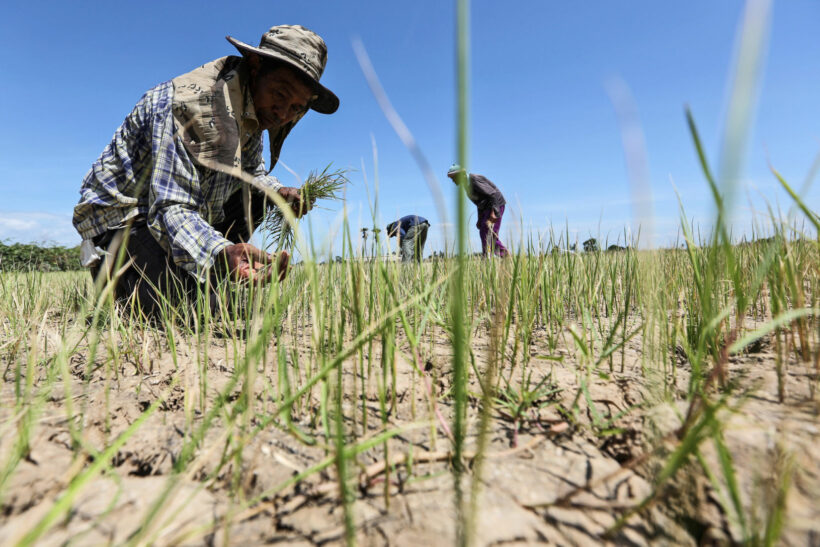 Thailand’s reservoirs and dams reaching critically low levels