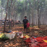 Fire in Kanchanaburi sends foul smoke over Burmese border | Thaiger