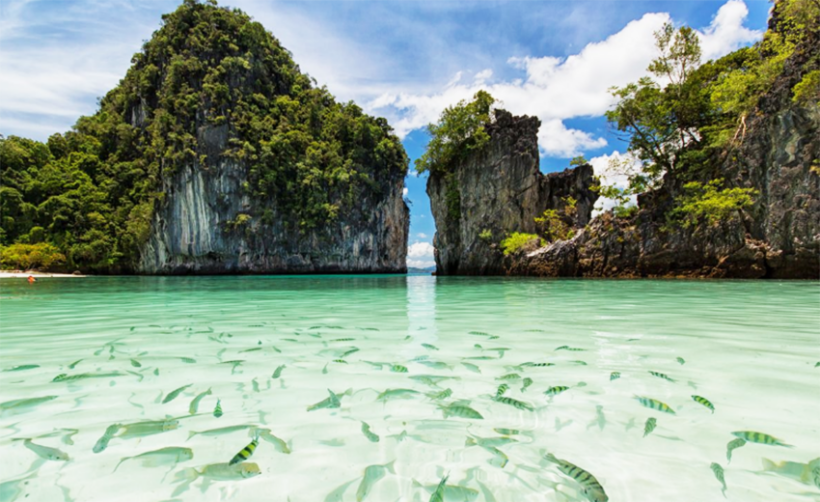 Blacktipped reef sharks return to Koh Hong, Krabi – VIDEO