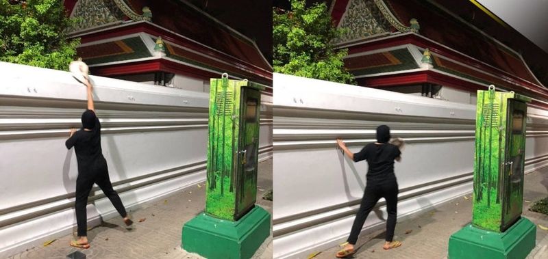 Woman charged after abandoning cats at Wat Pho