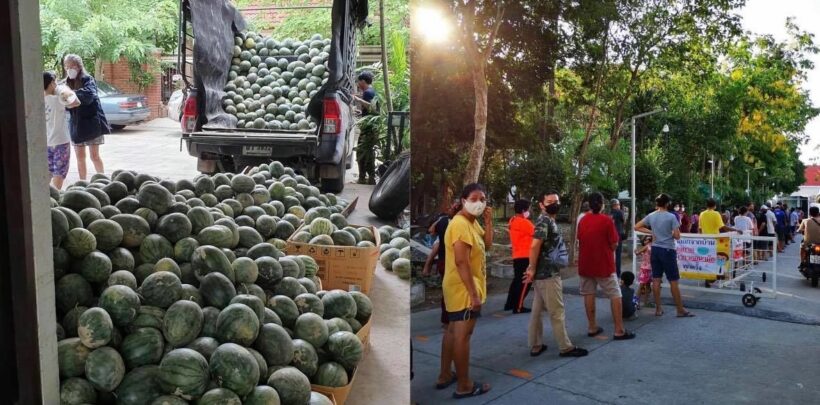 ชุ ชุดาภา เหมาแตงโมชาวสวน แจกประชาชน 4 ตัน วันเดียวหมด | The Thaiger