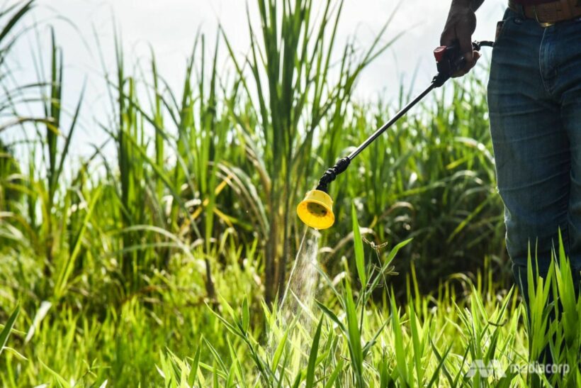 Committee votes to ban harmful pesticides from June 1