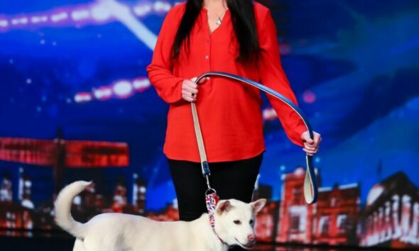 Thailand rescue dog from meat trade performs on Britain’s Got Talent | Thaiger