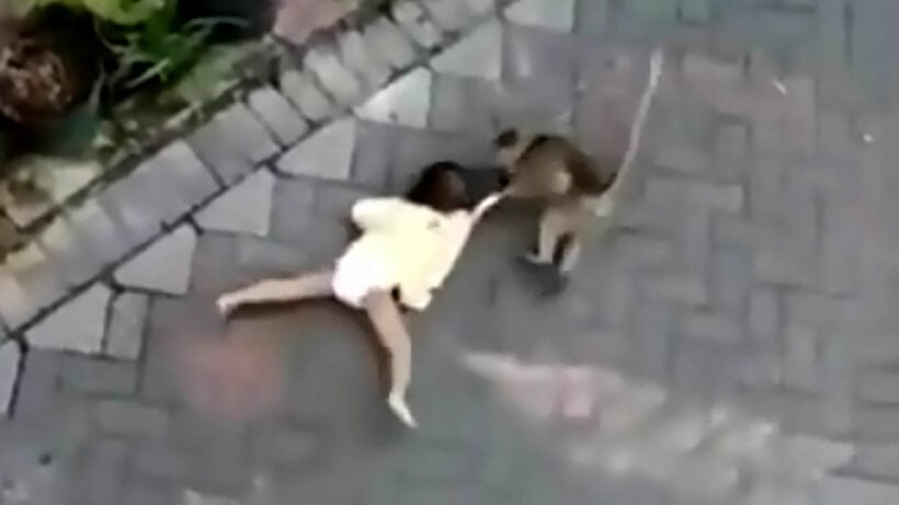 Bike-riding monkey attacks, drags Indonesian toddler – VIDEO