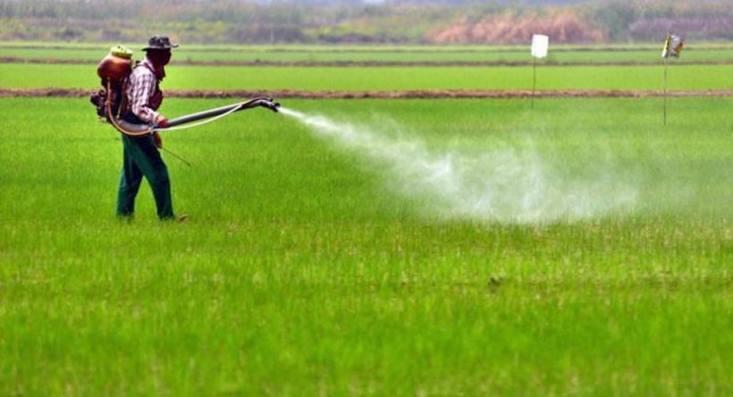 90 day deadline for farmers to hand over banned agrochemicals