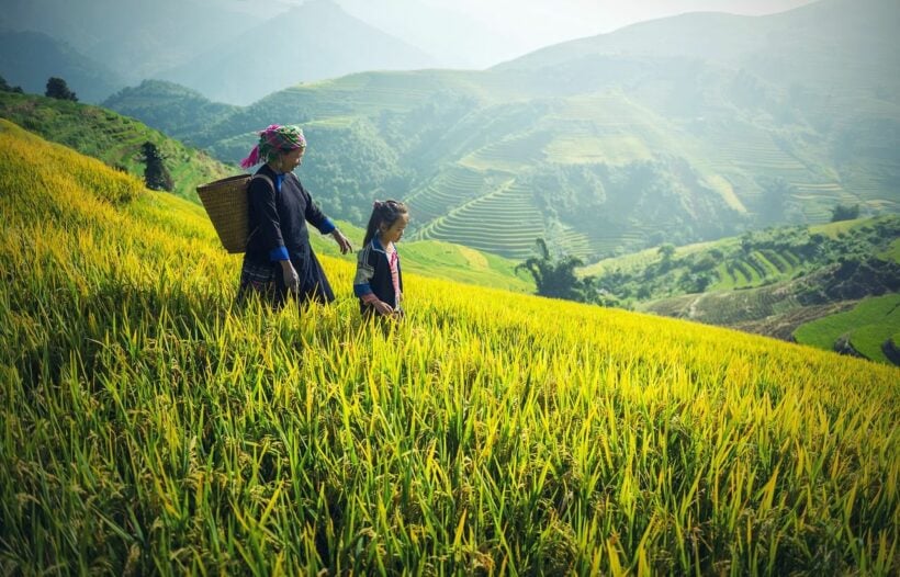 รวมช่องทาง ตรวจสอบสิทธิ์เกษตรกรรับเงินเยียวยา เช็กที่นี่ รู้วันรับเงิน 5000 | The Thaiger