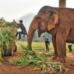 Thailand News Today &#8211; Thursday, May 7 | Thaiger