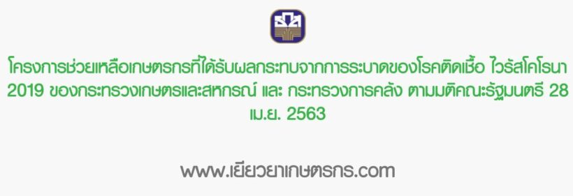 เยียวยาเกษตรกร.com กดเลย 2 ทุ่ม ลงทะเบียน บัญชีโอนเยียวยาเกษตรกร 5000 | The Thaiger