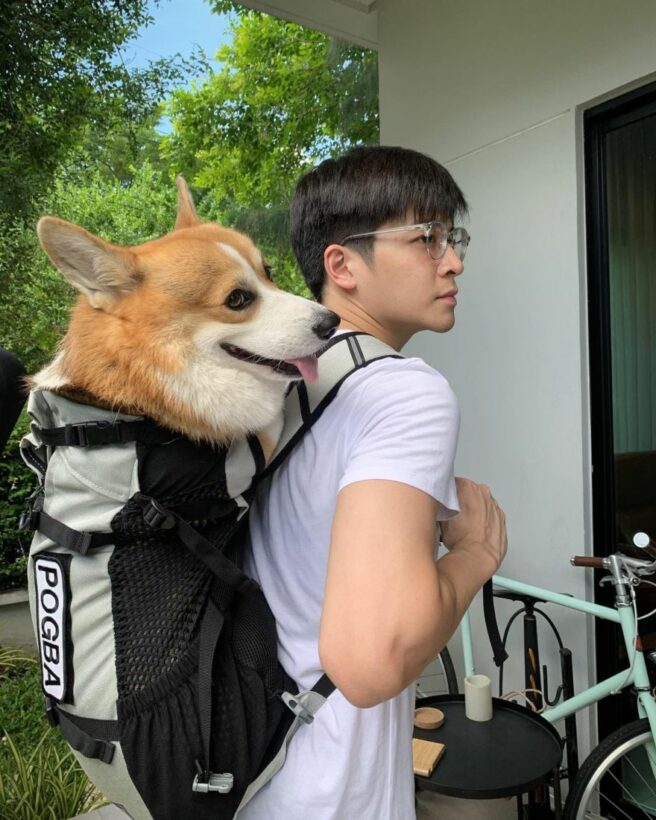 มาร์ช จุฑาวุฒิ โพสต์ภาพพ็อก น้องหมาคู่ใจ มีคนดังมาเมนต์ ทำเอาชาวเน็ตฮือฮาทั้งโลกโซเชียล | The Thaiger