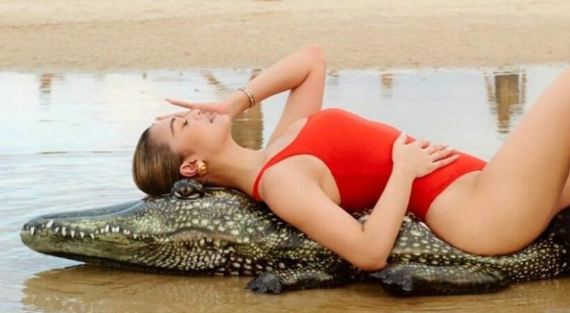 แซ่บลืม! แพร วทานิกา อวดหุ่นโพสท่าคู่จระเข้ | The Thaiger