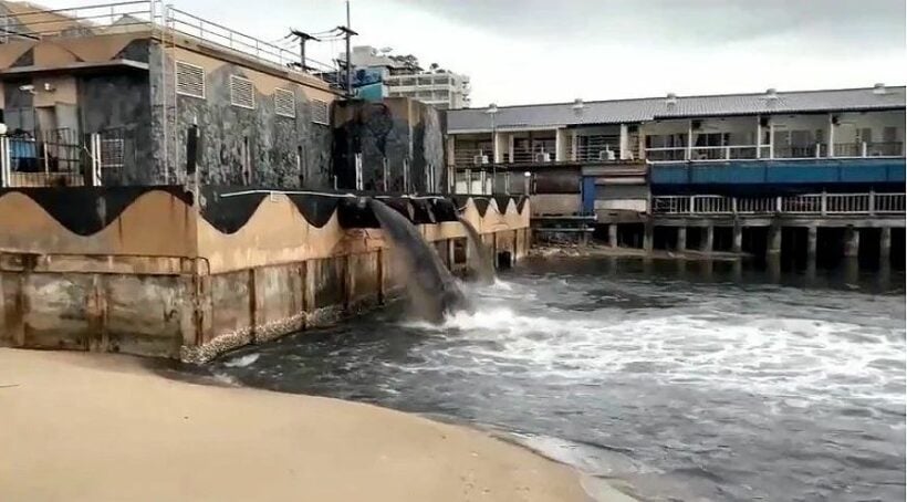 Pattaya mayor responds to video showing black water gushing into the sea next to Walking Street