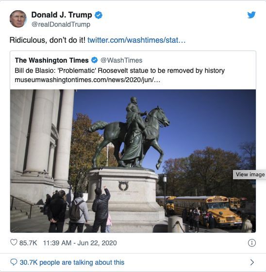 New York museum takes down Theodore Roosevelt statue | News by Thaiger
