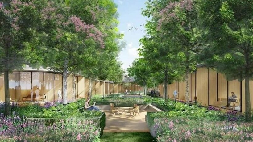 International medical hub proposed by outgoing Phuket governor | News by Thaiger