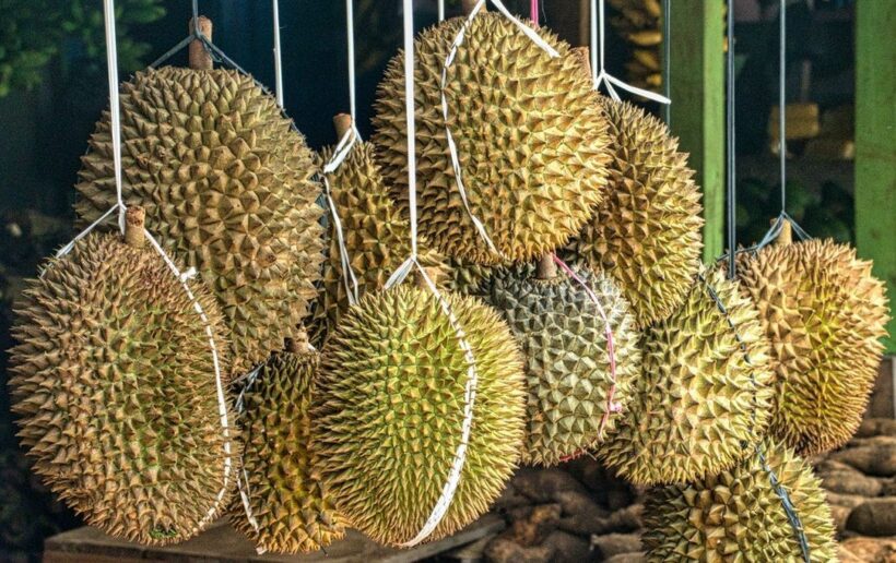 ทุเรียนเหม็นมากจนพนง.ไปรษณีย์เข้าโรงพยาล 6 คน อพยพกว่า 60 ราย | The Thaiger