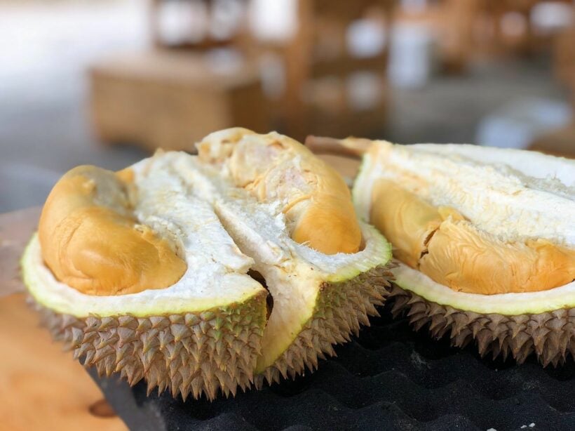 Durian sends 6 to hospital due to smelly ‘mystery’ package