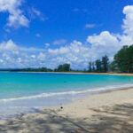 Phuket’s Sirinat National Park to open again from Wednesday | Thaiger