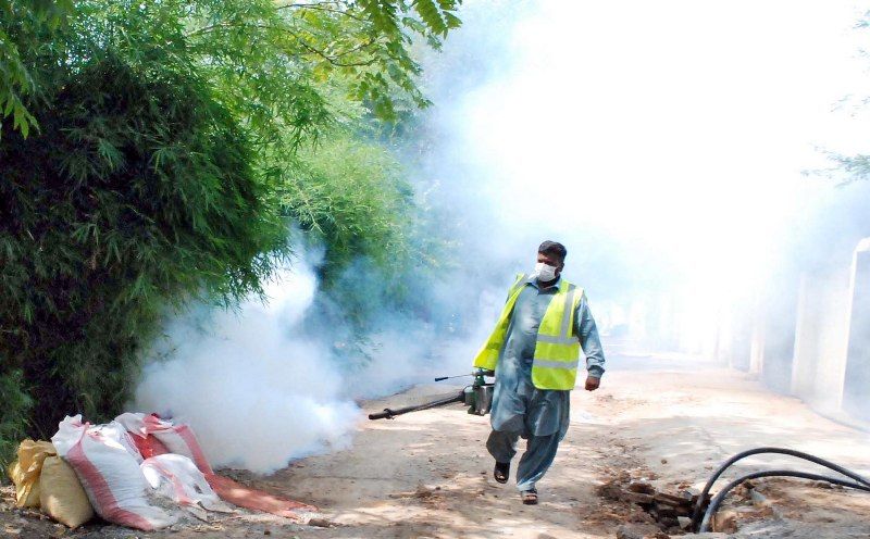 Dengue on the rise in the northeast, wet season worries