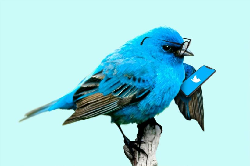 Twitter แบน Donald Trump Jr. 12 ชั่วโมง หลังโพสต์ข้อมูลเท็จโควิด-19 | The Thaiger