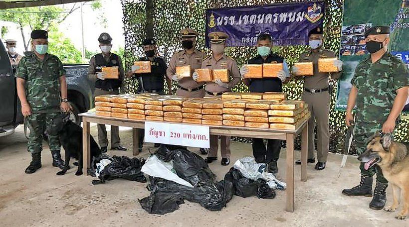 2 arrested with 409 kilograms of marijuana in Nakhon Phanom