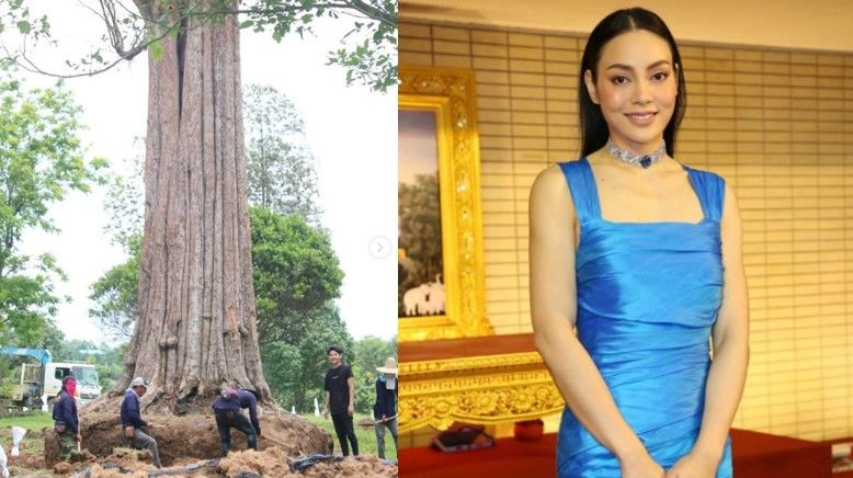 ตั๊ก บงกช ทำบุญใหญ่ ซื้อต้นกระบก กว่า 4 แสน ถวายศูนย์วิปัสสนา | The Thaiger