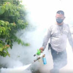 Chon Buri&#8217;s Nongprue joins fight against dengue, chikingunya viruses | Thaiger