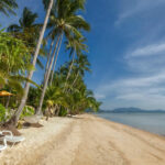 Thai tourism sector &#8220;seriously wounded&#8221; by pandemic | Thaiger