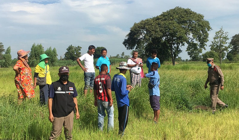 Isaan village chief finds human bones in rice field