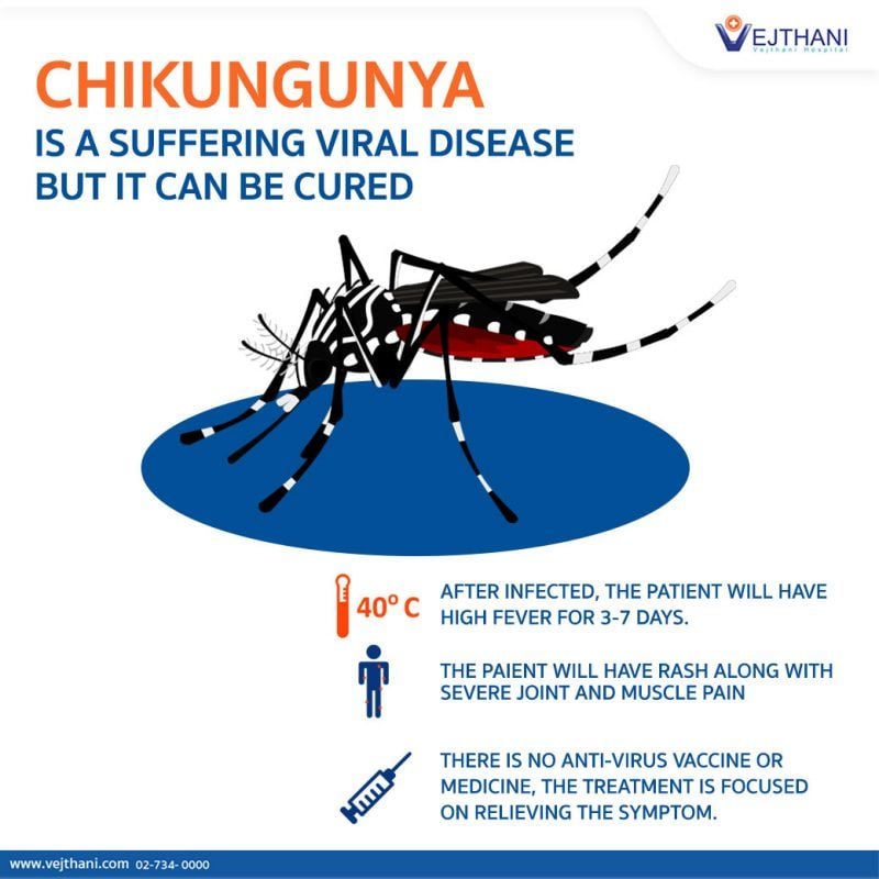 Cambodia suffers acute Chikungunya outbreak | News by Thaiger