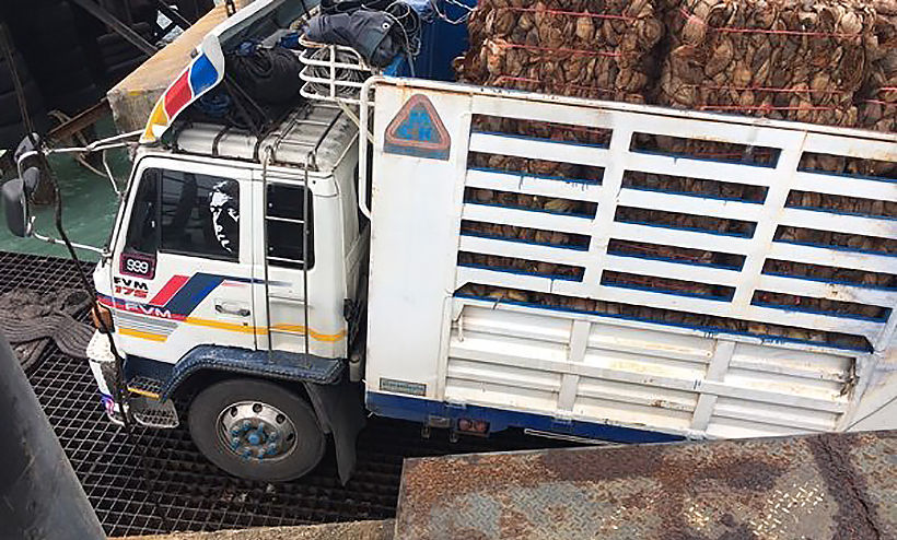 Koh Samui bridge collapse leaves truck stuck under pier