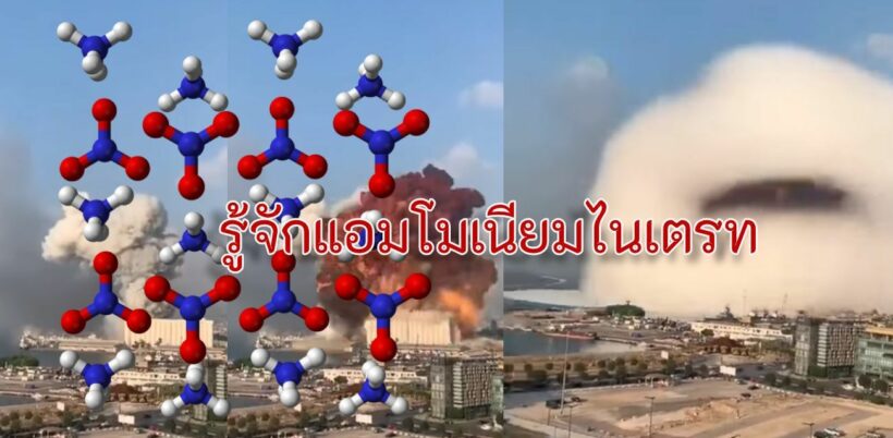 อ่านเลย แอมโมเนียมไนเตรตคืออะไร ใช้ทำปุ๋ย แต่ระเบิดได้! | The Thaiger