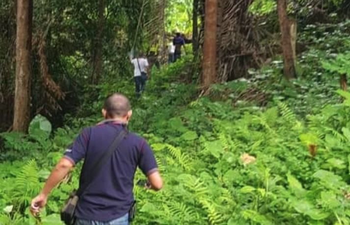 Missing retired police officer found pinned under tree in Patong