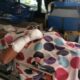32 year old recovers in hospital after tiger attack in Pattaya | The Thaiger