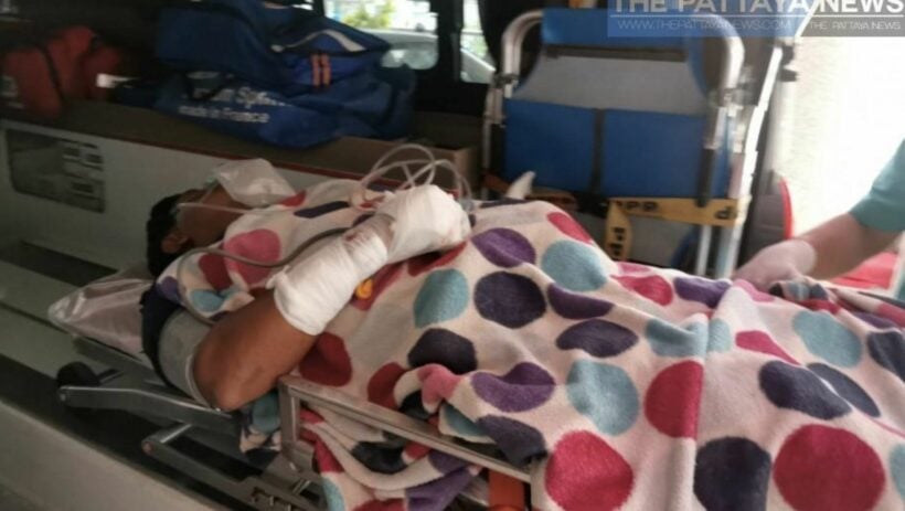 32 year old recovers in hospital after tiger attack in Pattaya